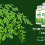 moringa capsules | moringa tablet benefits